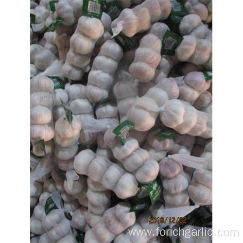 Hot Sale Normal White Garlic 2019